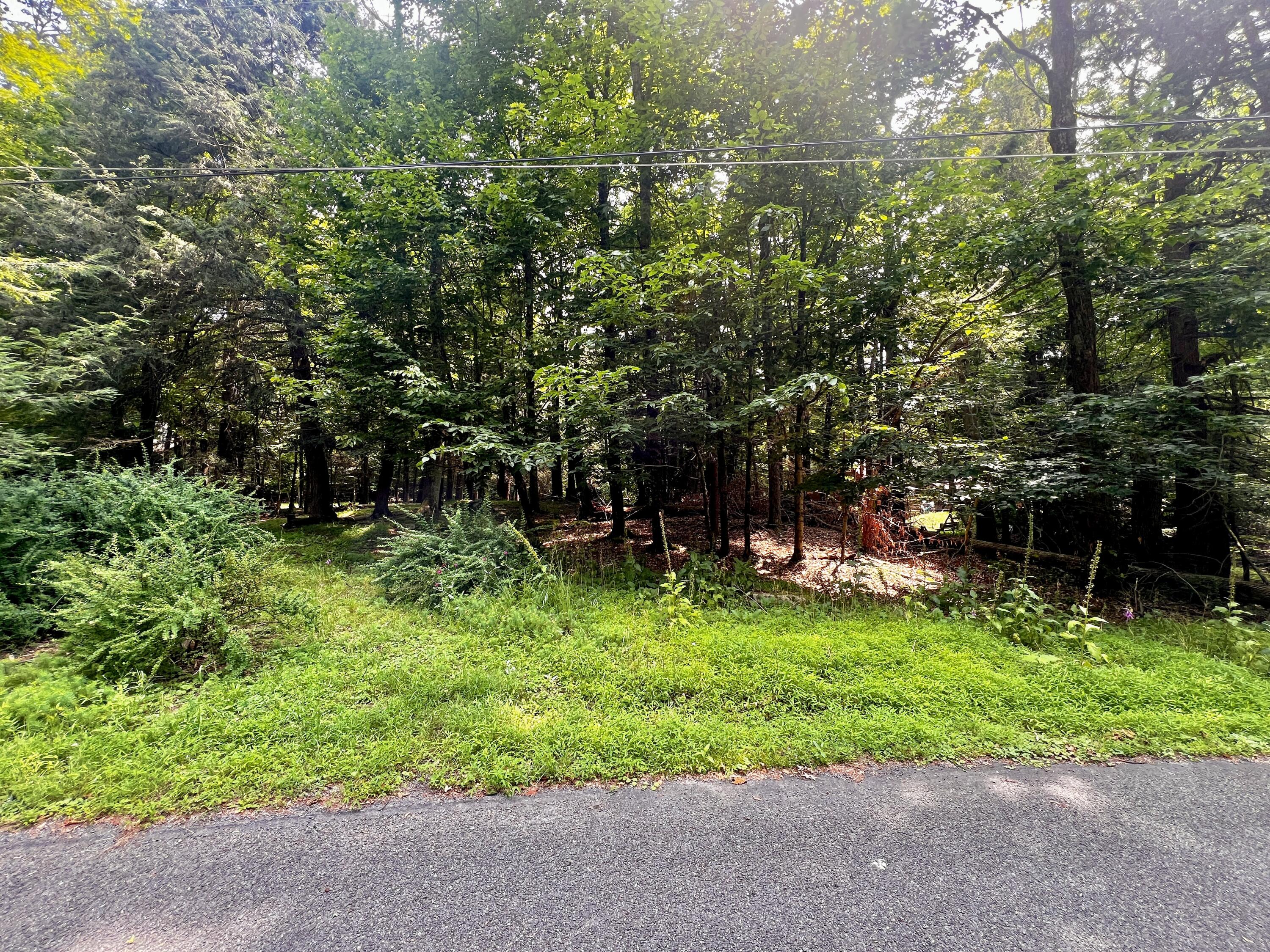 639 Bear Rock Road, Lake Ariel, Pennsylvania image 1