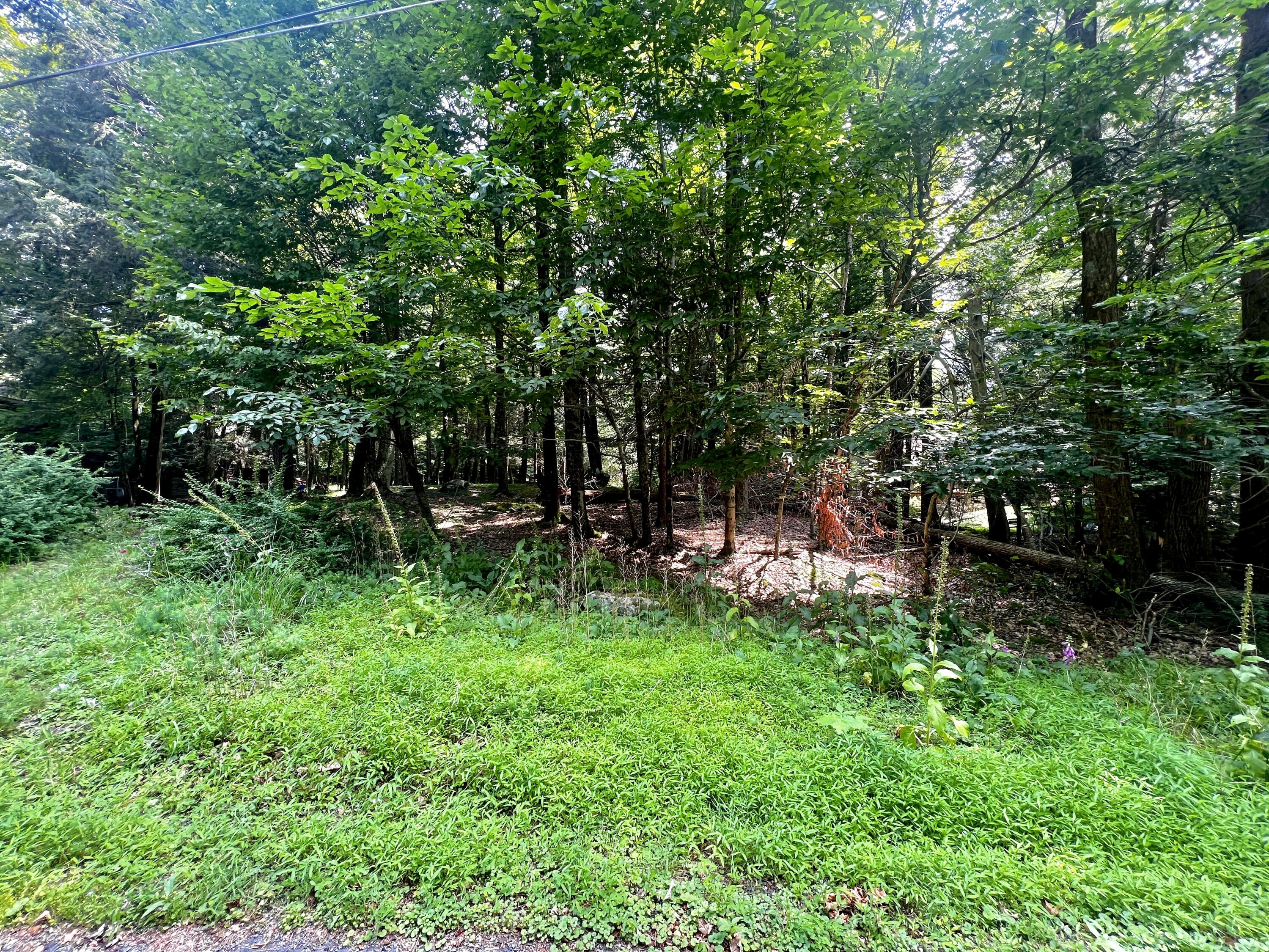 639 Bear Rock Road, Lake Ariel, Pennsylvania image 4