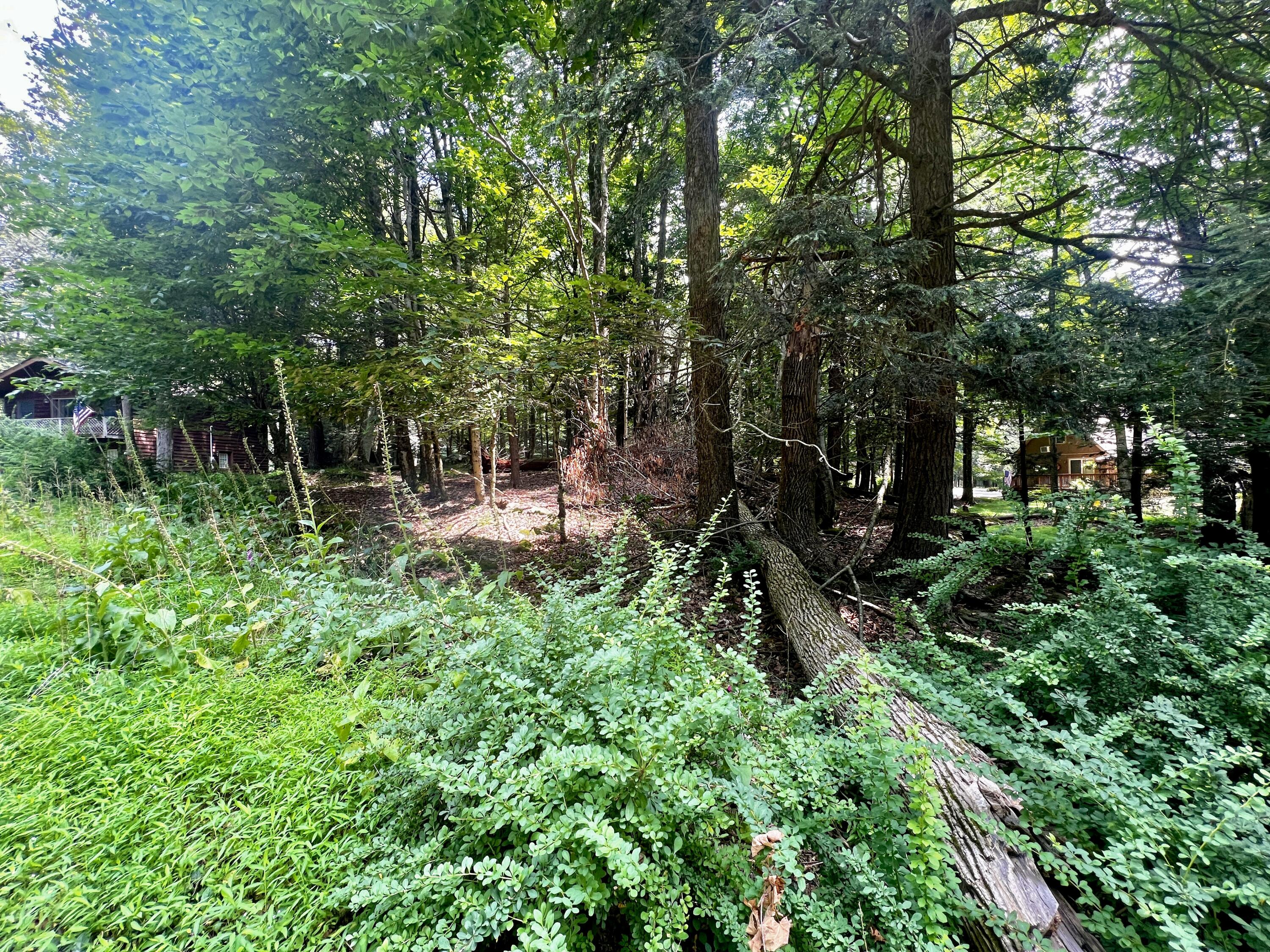 639 Bear Rock Road, Lake Ariel, Pennsylvania image 3