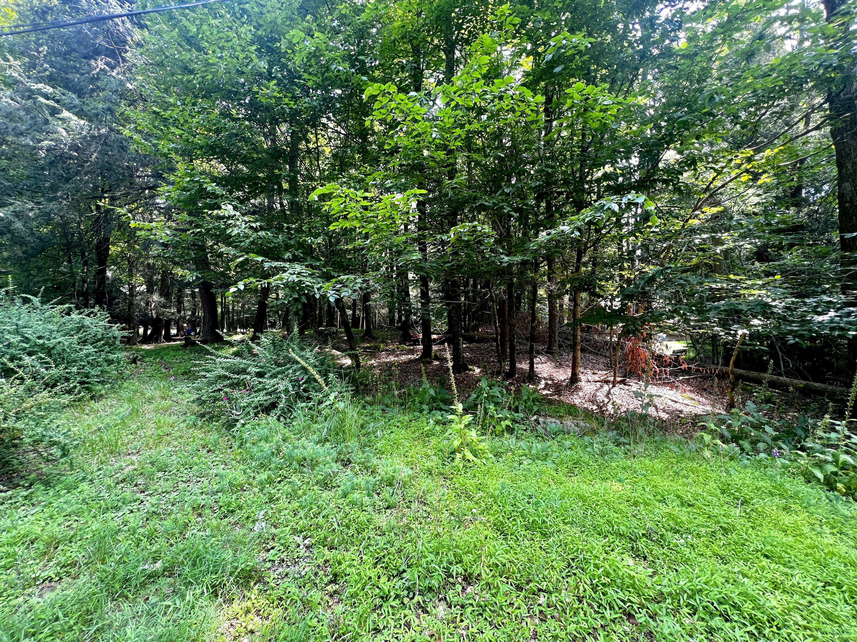 639 Bear Rock Road, Lake Ariel, Pennsylvania image 2
