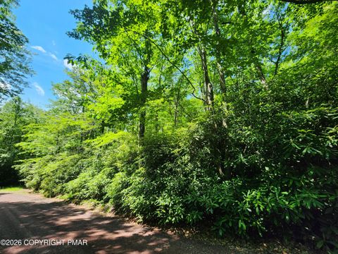 Vacant Land For Sale - Lot A48 Rhododendron Road<br/> Carbon County, Jim Thorpe, PA 18229