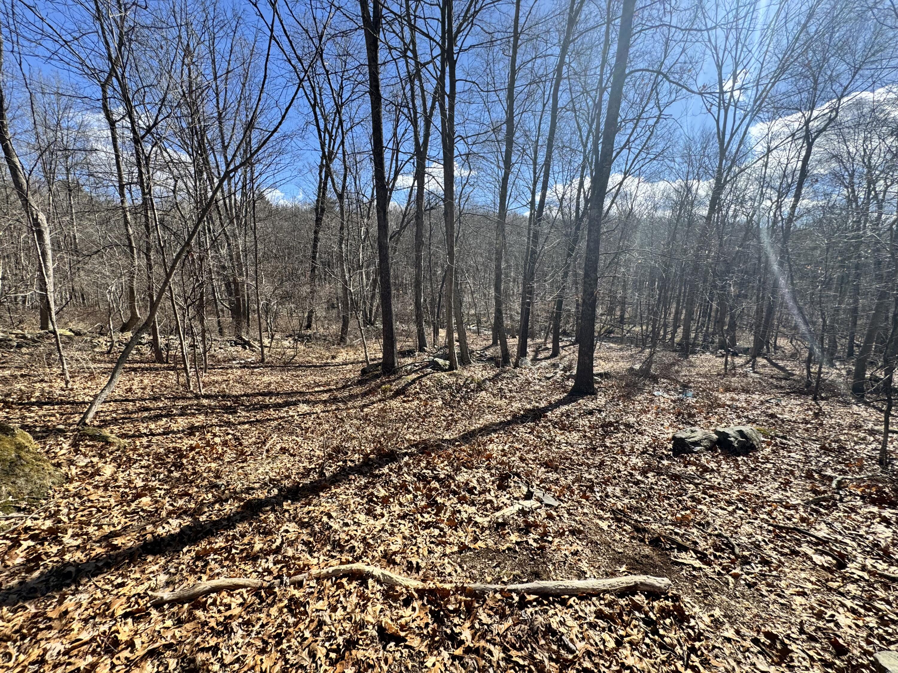 3208 Bear Swamp Rd Road, East Stroudsburg, Pennsylvania image 12