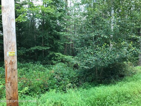 Vacant Land For Sale - 367 & 368 Sparrow Lane<br/> Jim Thorpe, PA 18229