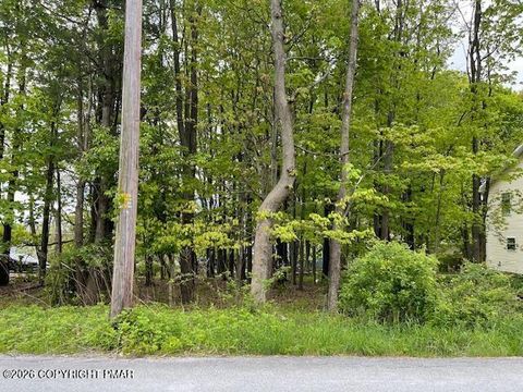Lot 6 Kinney Ave Mount Pocono PA 18344