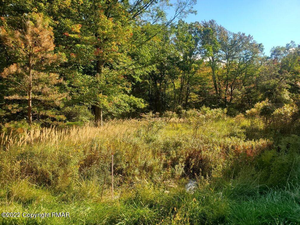 Lot 611 Williams Lane, Scotrun, Pennsylvania image 1