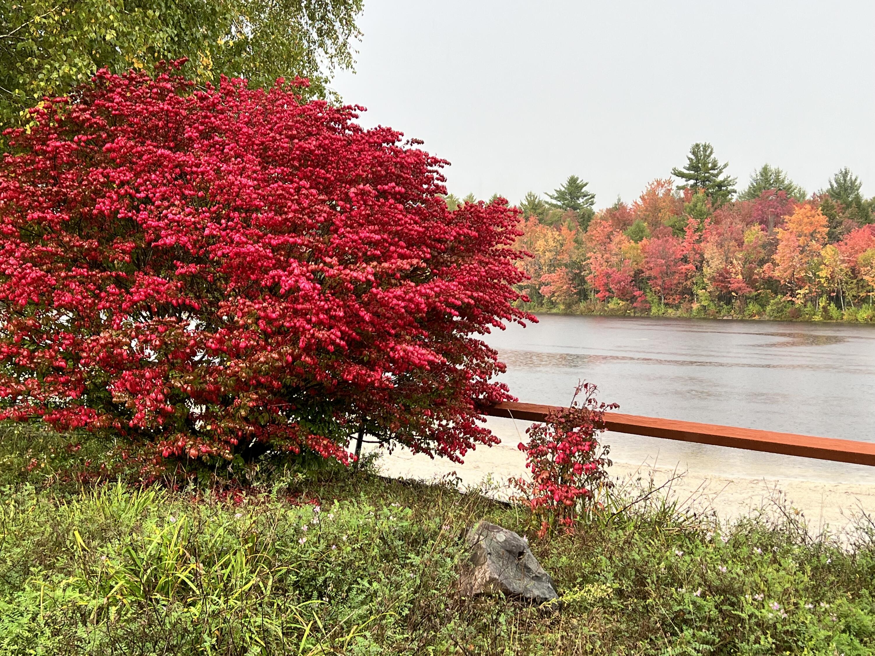 4 Game Drive, White Haven, Pennsylvania image 36