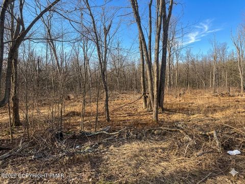 Vacant Land For Sale - 3315 Falstaff Drive<br/> Tobyhanna, PA 18466