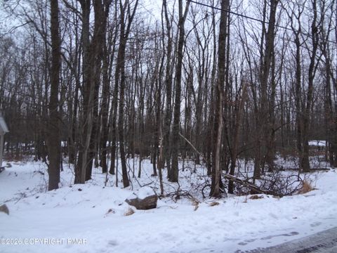 Vacant Land For Sale - 9153 Twin Lake Drive<br/> Kunkletown, PA 18058
