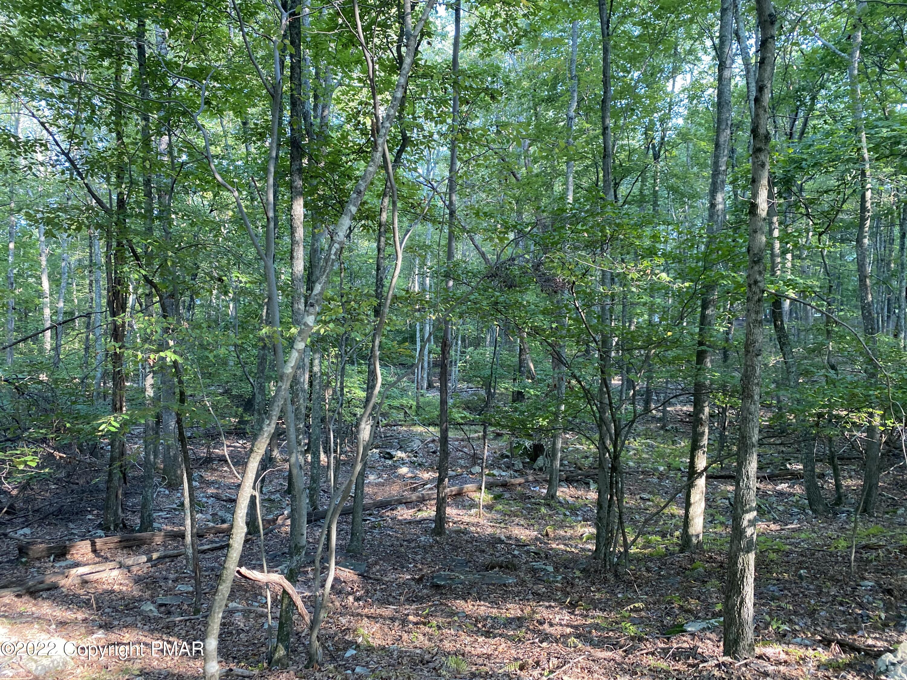 Lot 401 Wildwood Lane, Canadensis, Pennsylvania image 5