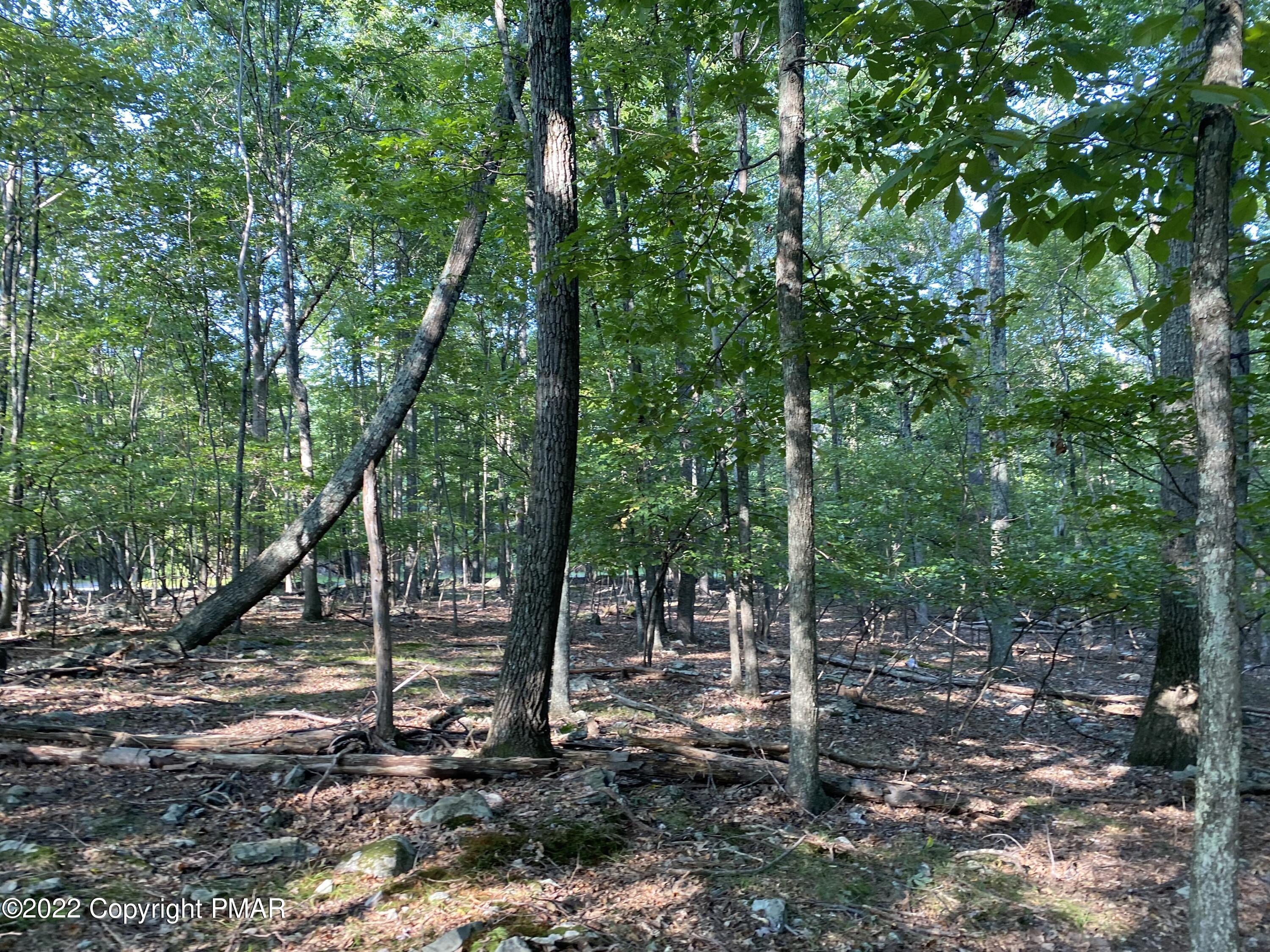 Lot 401 Wildwood Lane, Canadensis, Pennsylvania image 4