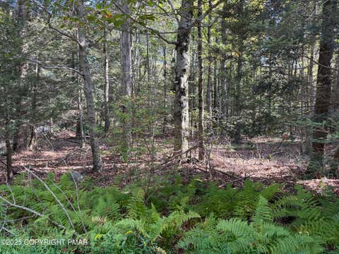 Vacant Land For Sale - 166 George Drive<br/> Monroe County, Blakeslee, PA 18610