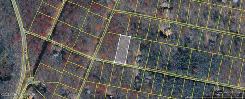 Vacant Land For Sale - Redwood Drive<br/> Carbon County, Jim Thorpe, PA 18229