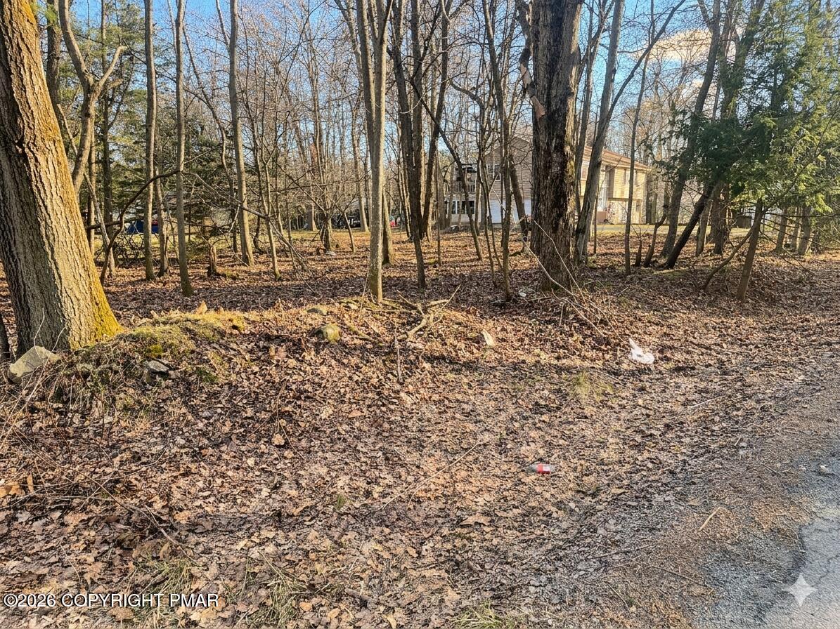Thunder Ln 317 Drive
