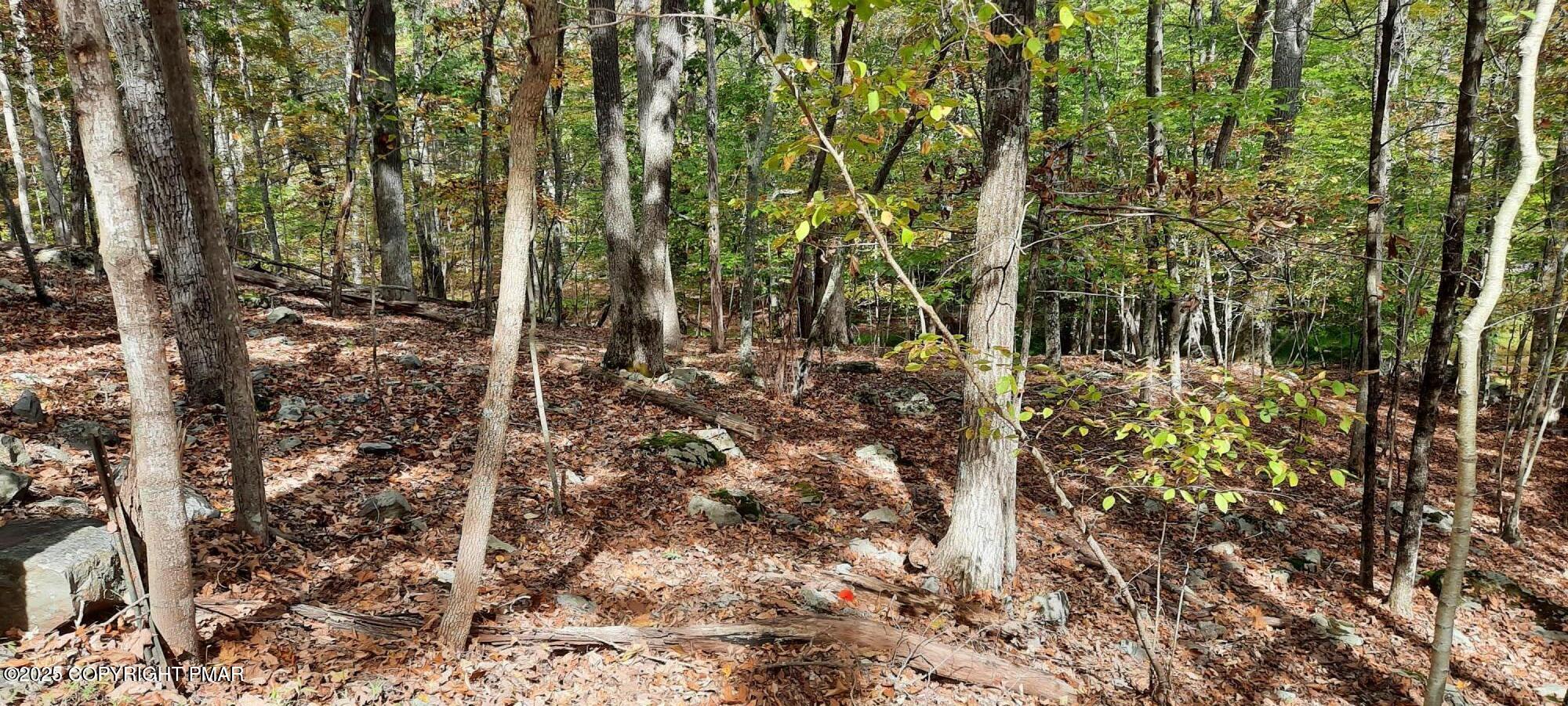 Lot 8 Sec Decker Road