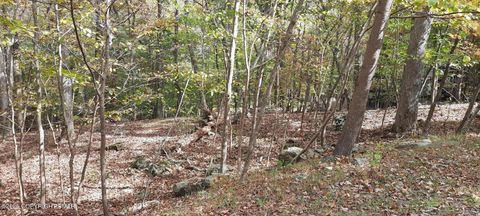 Lot 8 Sec Decker Road Bushkill PA 18324