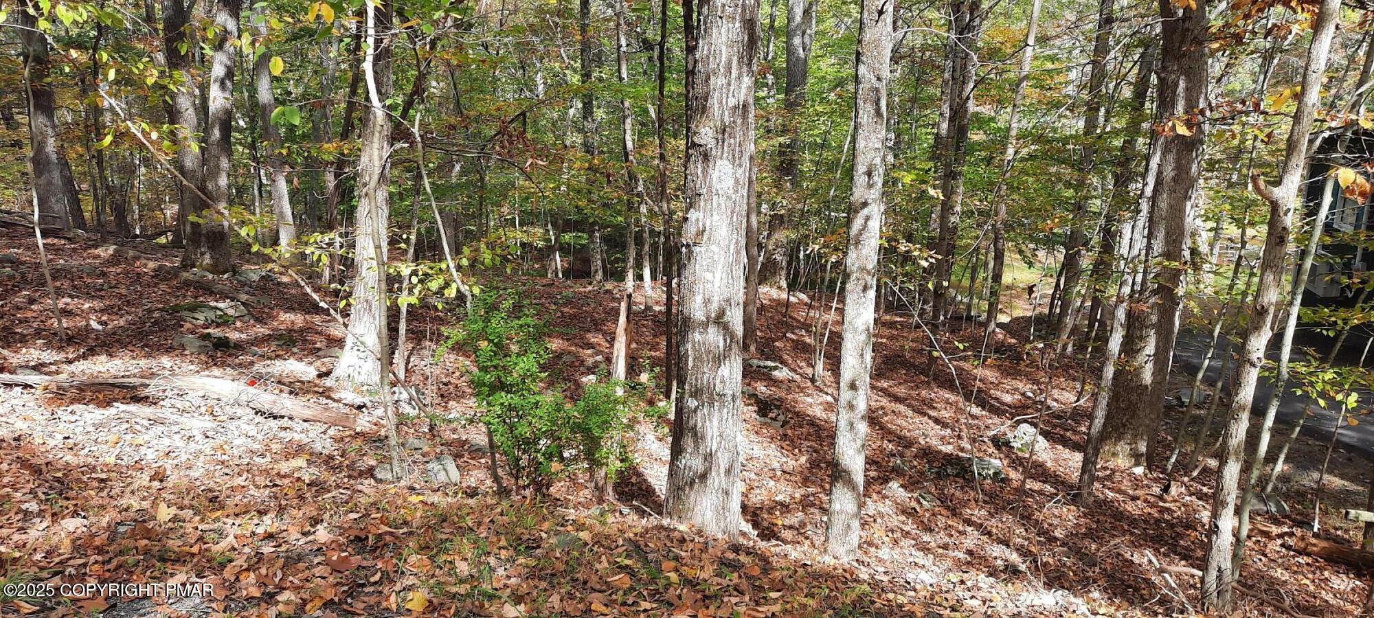 Lot 8 Sec Decker Road