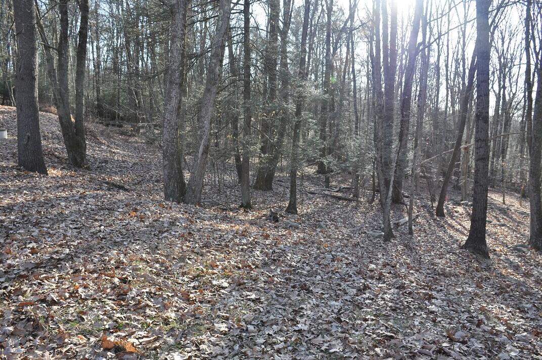521 Pine Ridge Road, Stroudsburg, Pennsylvania image 20