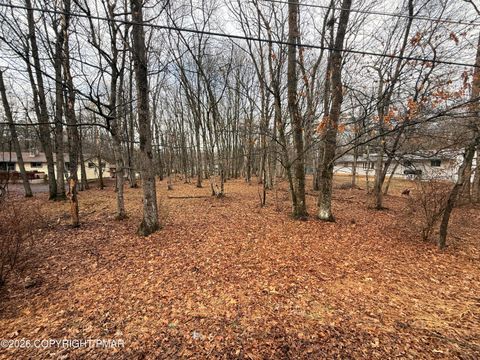 Vacant Land For Sale - 203 Foothill Road<br/> Albrightsville, PA 18210