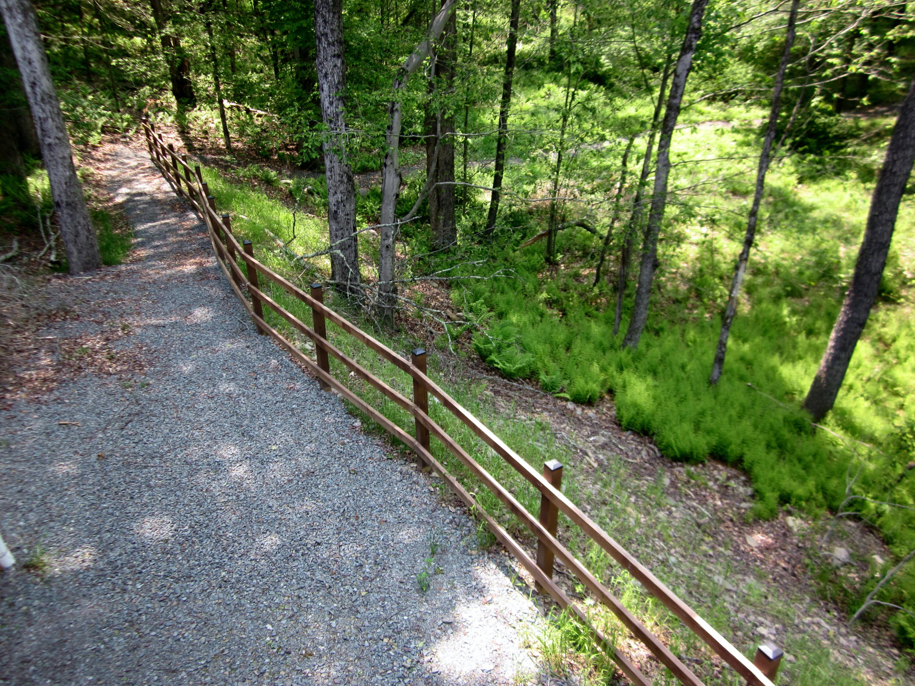 2016 Locust Ridge Road, Pocono Lake, Pennsylvania image 22