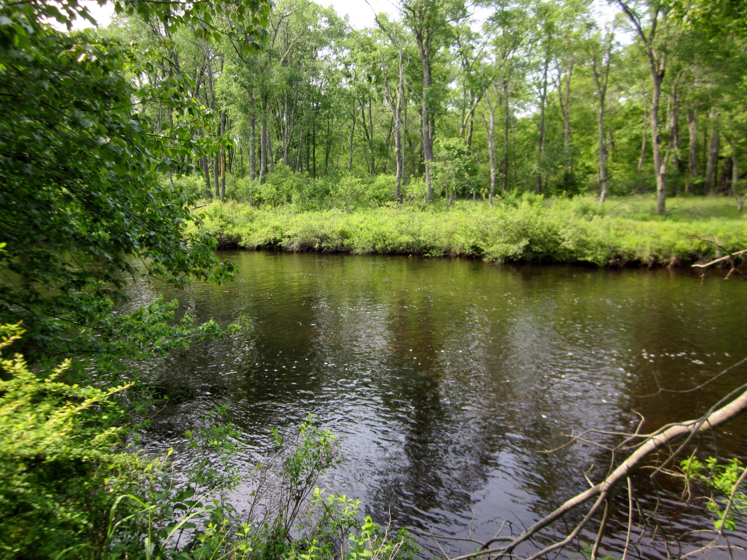 2016 Locust Ridge Road, Pocono Lake, Pennsylvania image 33