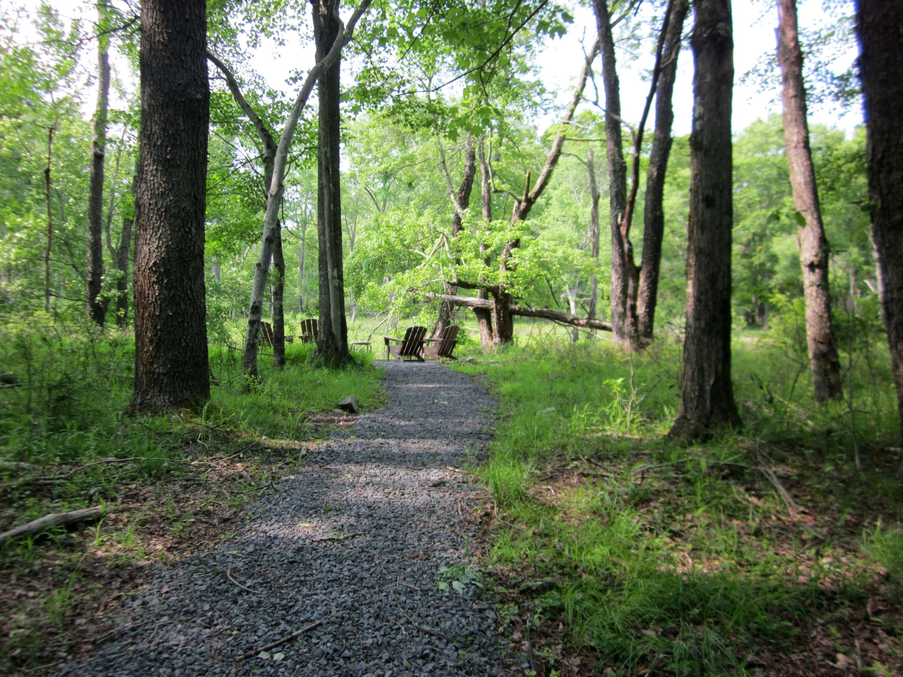 2016 Locust Ridge Road, Pocono Lake, Pennsylvania image 28