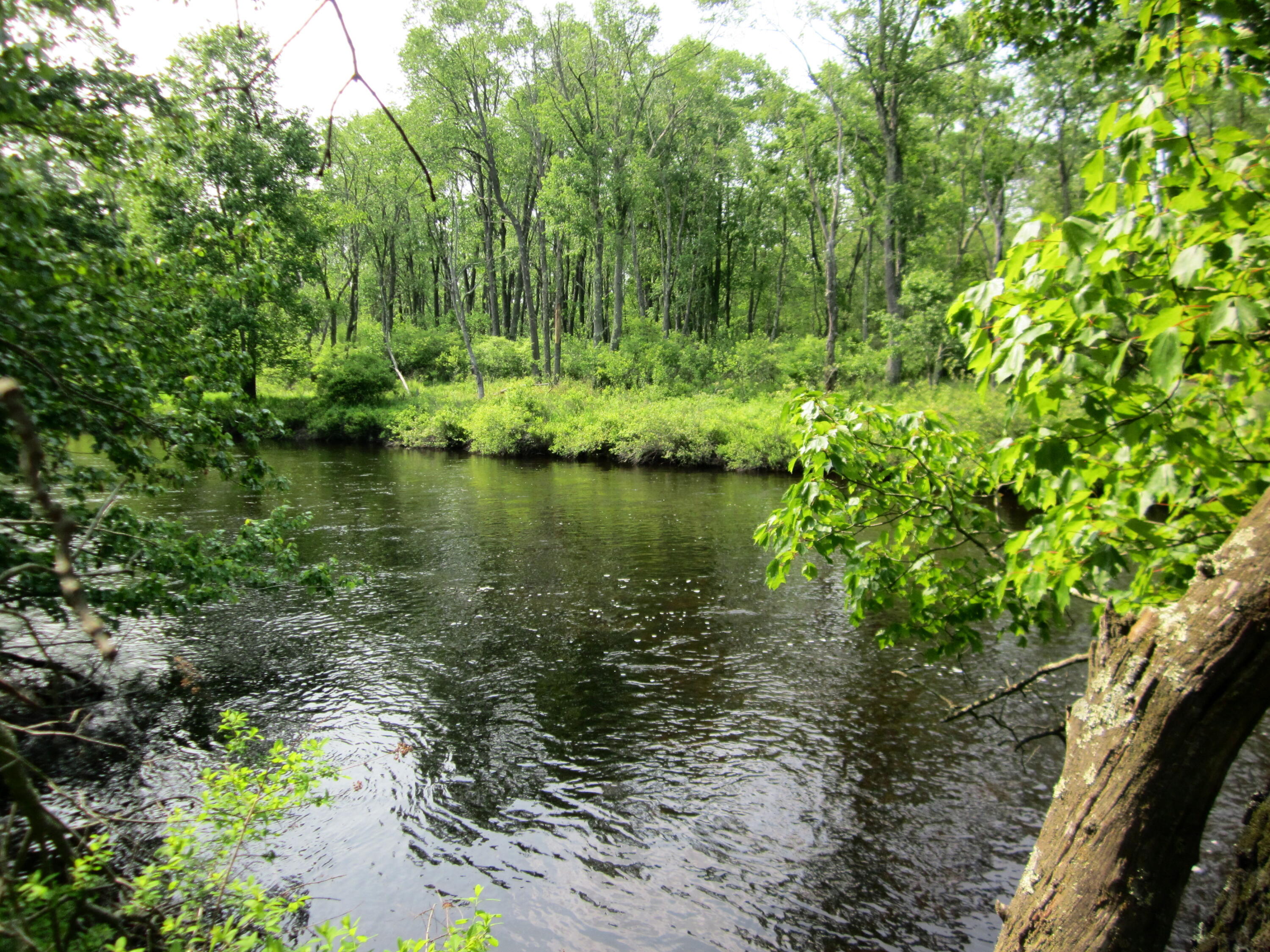 2016 Locust Ridge Road, Pocono Lake, Pennsylvania image 32