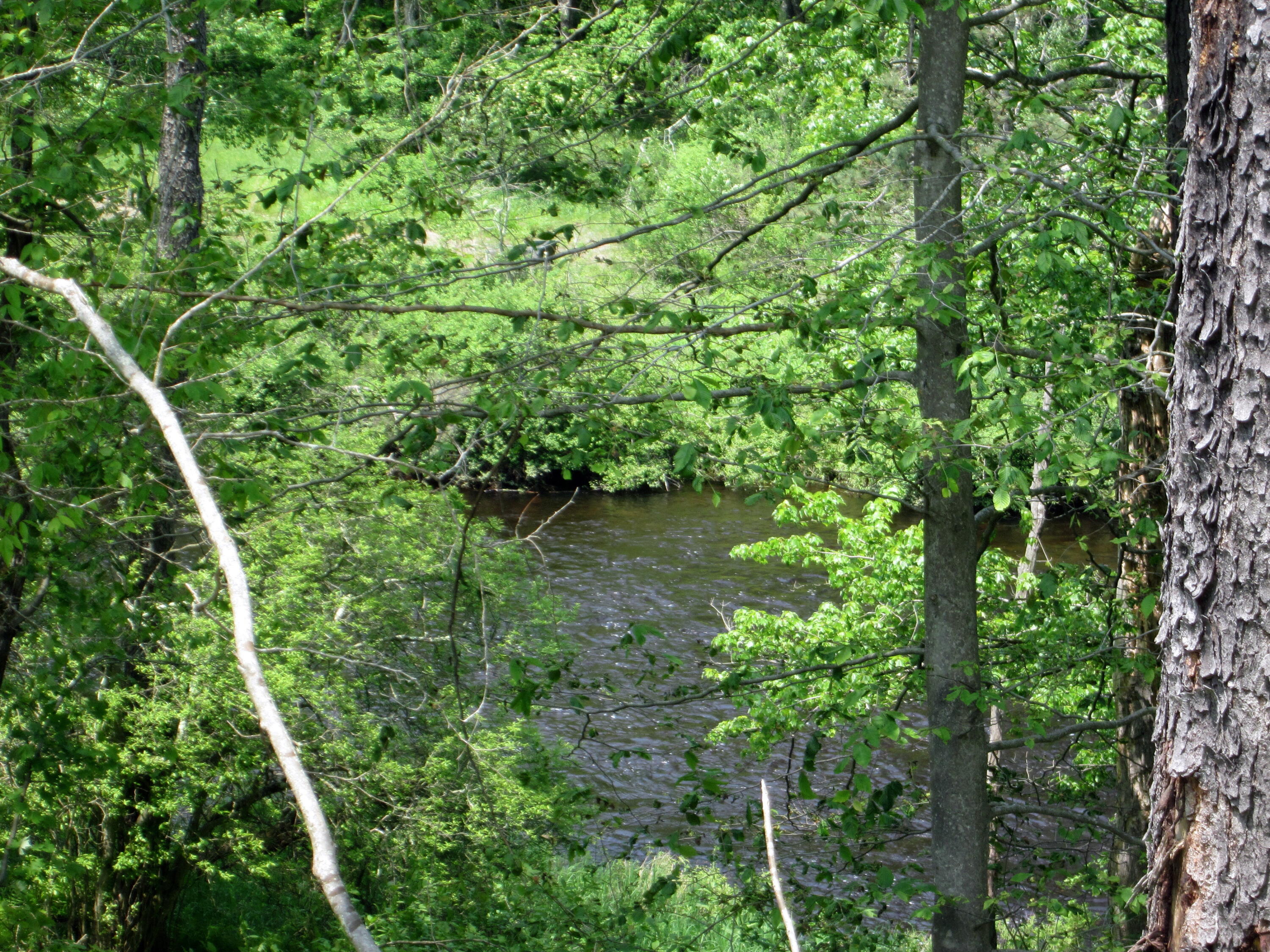 2016 Locust Ridge Road, Pocono Lake, Pennsylvania image 24