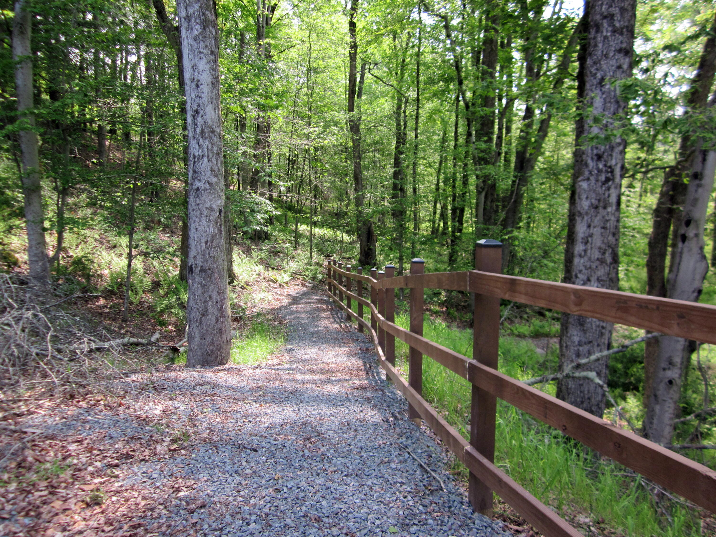 2016 Locust Ridge Road, Pocono Lake, Pennsylvania image 26