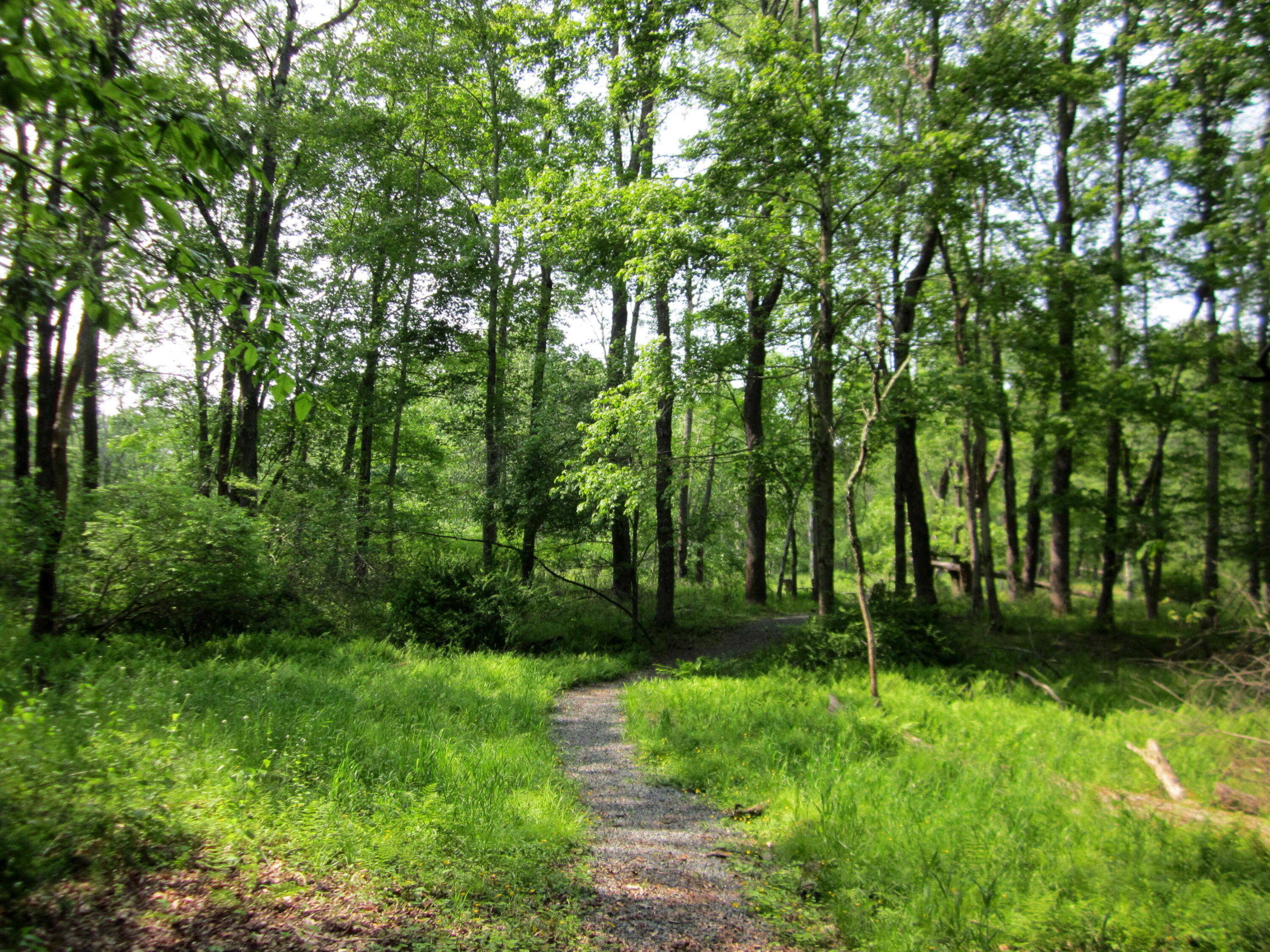 2016 Locust Ridge Road, Pocono Lake, Pennsylvania image 27