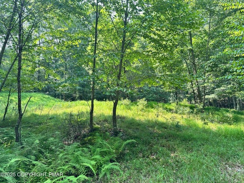Vacant Land For Sale - Timber Hill Rd 3c<br/> Monroe County, Henryville, PA 18332
