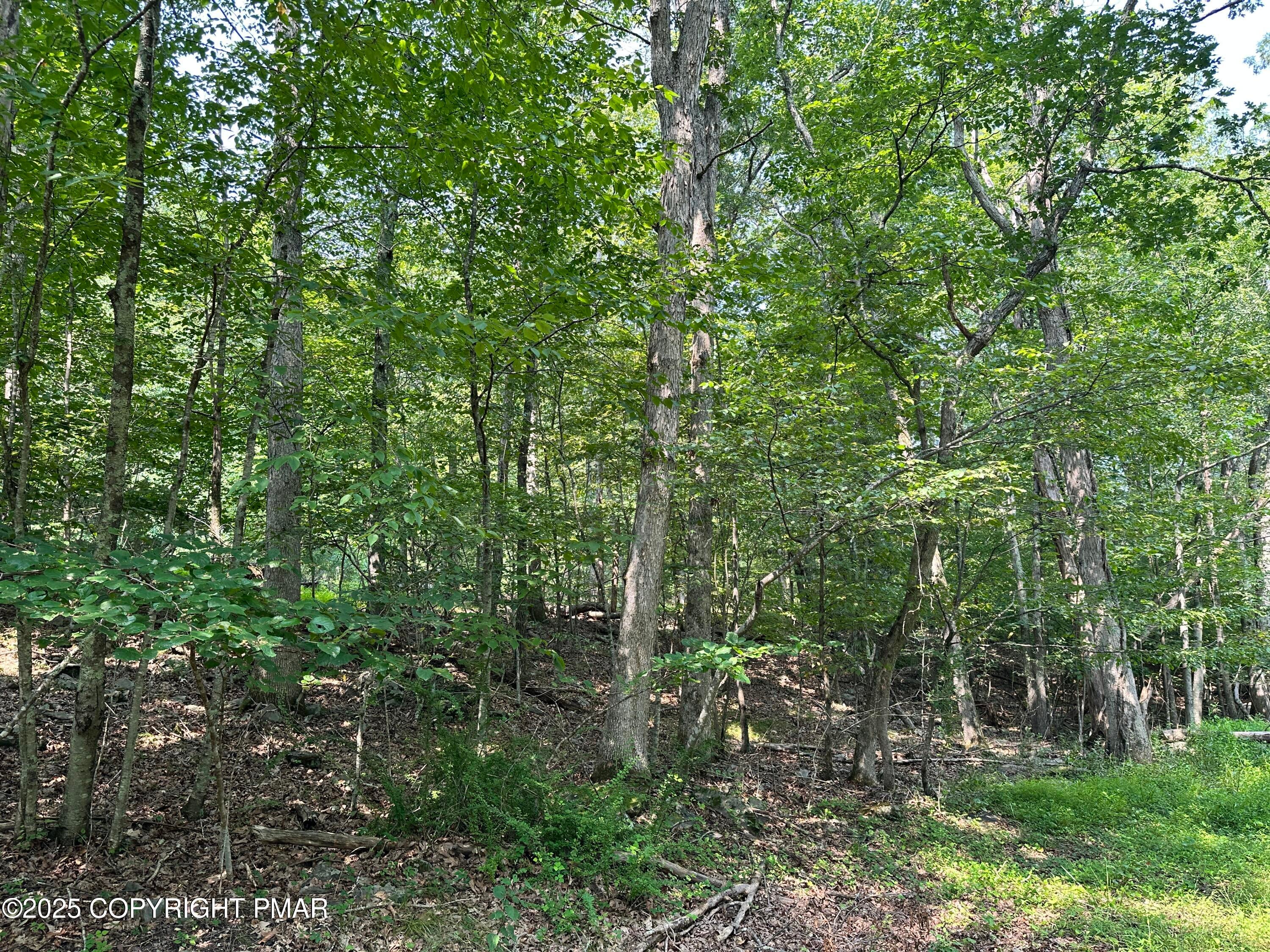 Timber Hill Rd 3C