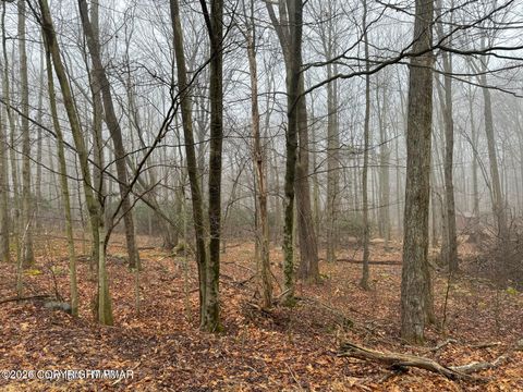 Vacant Land For Sale - Lookout Point Rd, Lot 91<br/> Canadensis, PA 18325