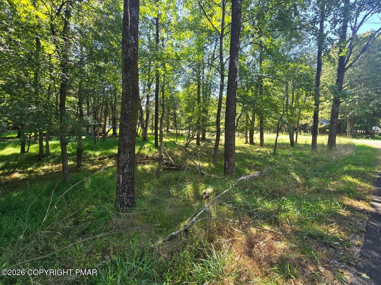 Wintergreen Trail & Longbrook