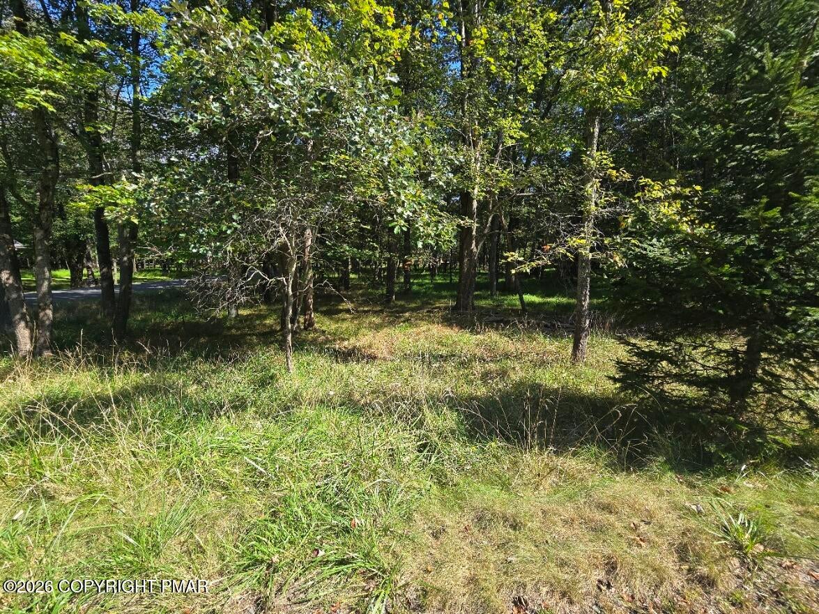 Wintergreen Trail & Longbrook