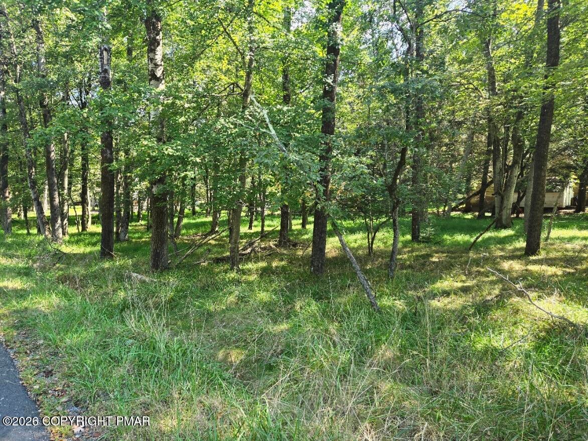 Wintergreen Trail & Longbrook