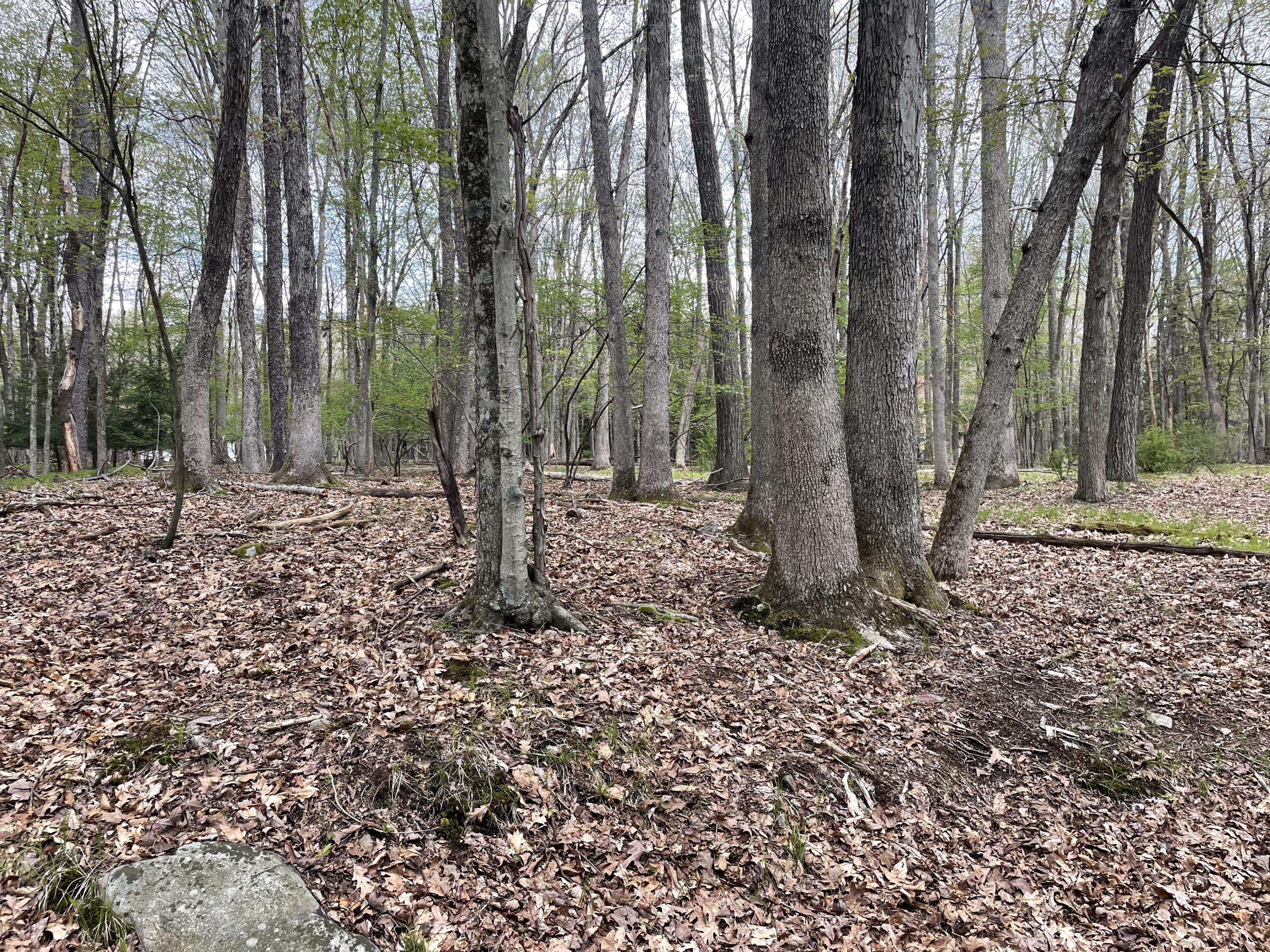 8 Fox Run Road, White Haven, Pennsylvania image 5