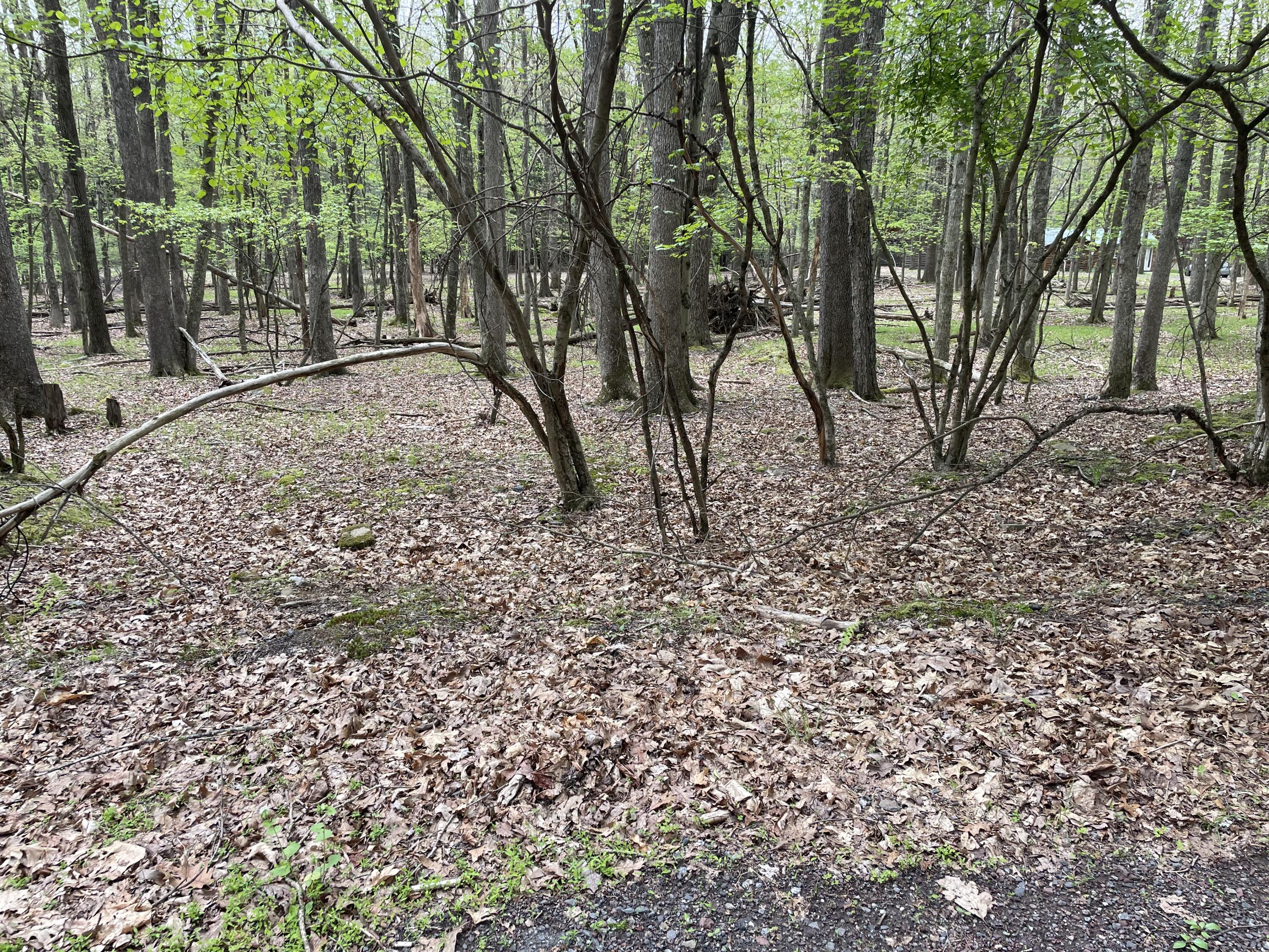 8 Fox Run Road, White Haven, Pennsylvania image 4