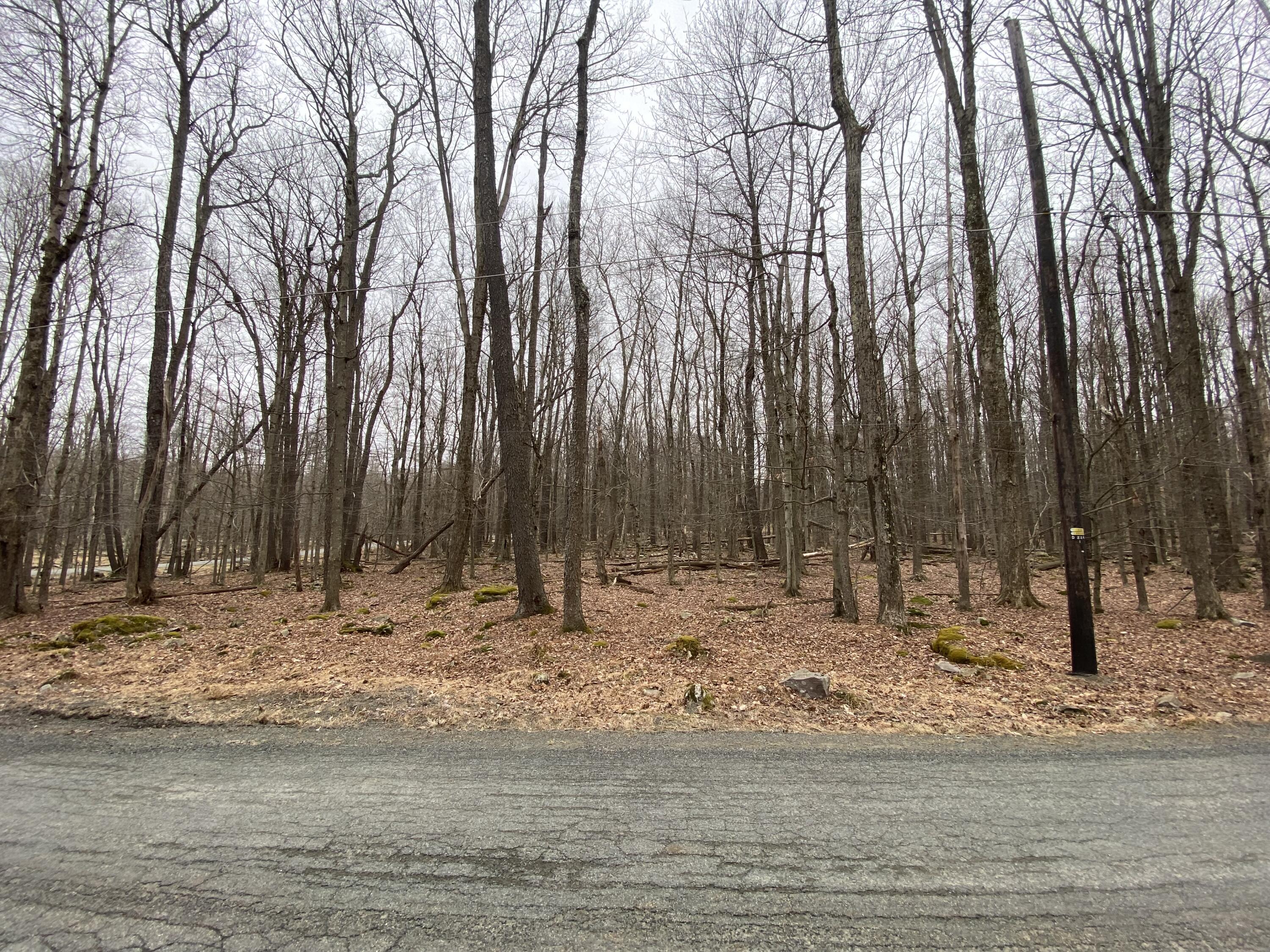 4 Basswood Drive, South Sterling, Pennsylvania image 7