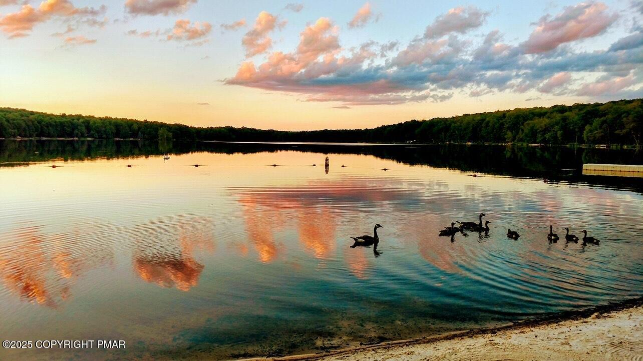 LOT# V-2524 Norton Drive