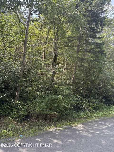 Long View Ln 36 Lane Pocono Pines PA 18350
