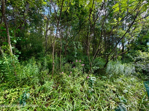 Vacant Land For Sale - Stock Street<br/> Nesquehoning, PA 18240