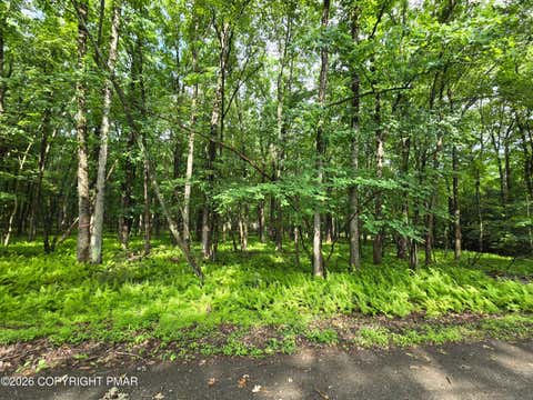 Vacant Land For Sale - 44 Poe Circle<br/> Albrightsville, PA 18210