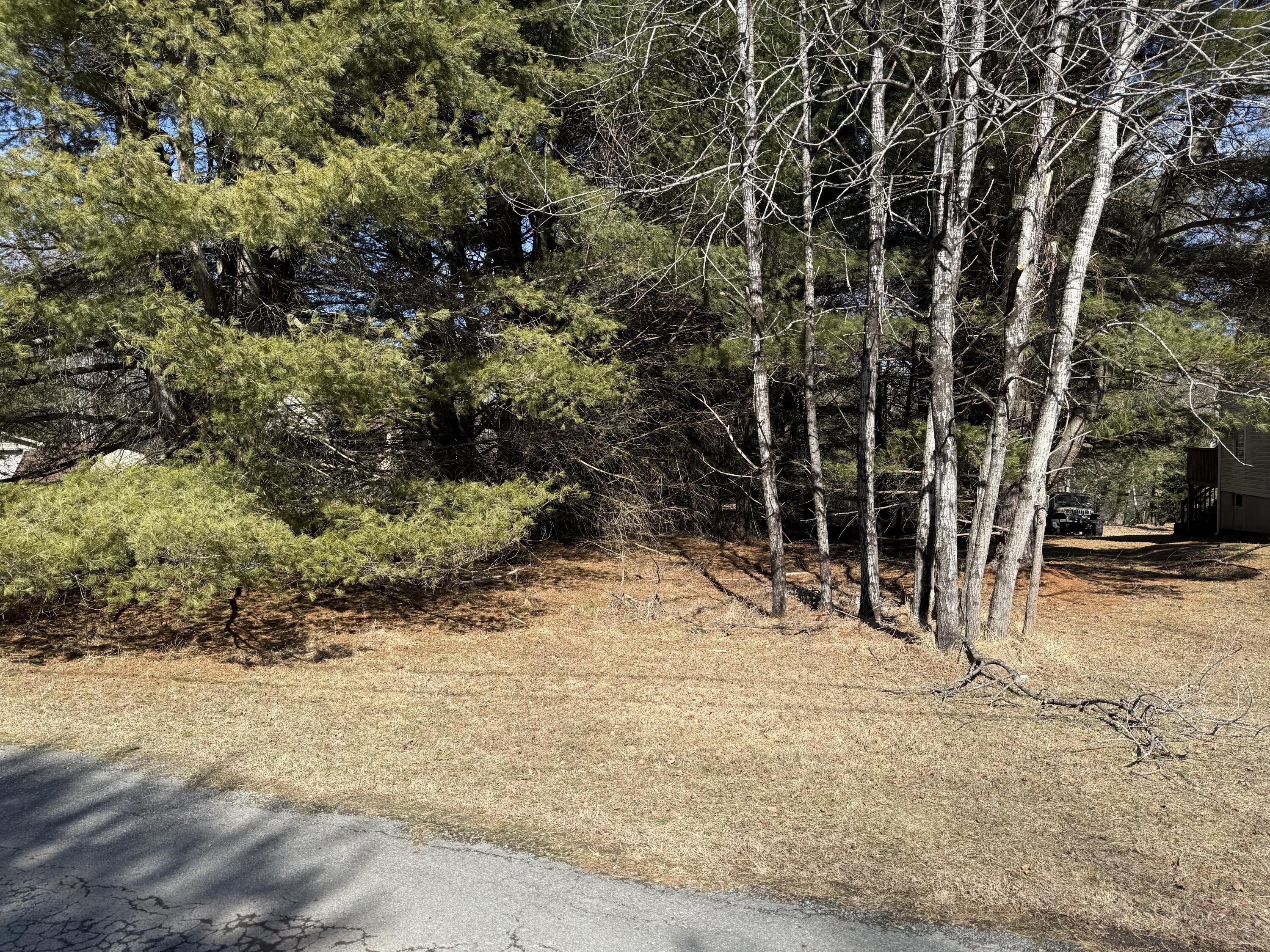 Woodledge Village Meadow Court, Hawley, Pennsylvania image 14