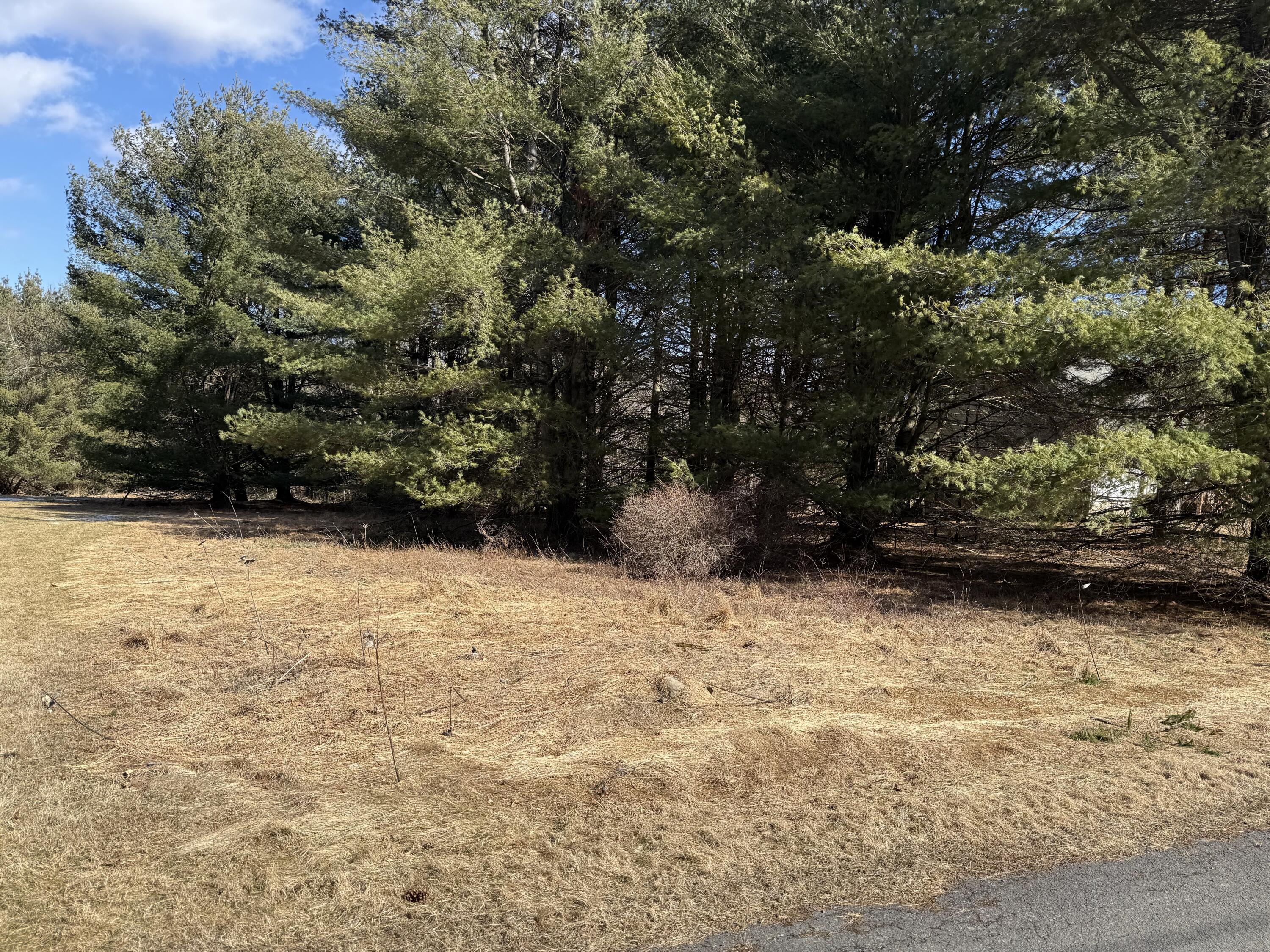 Woodledge Village Meadow Court, Hawley, Pennsylvania image 15