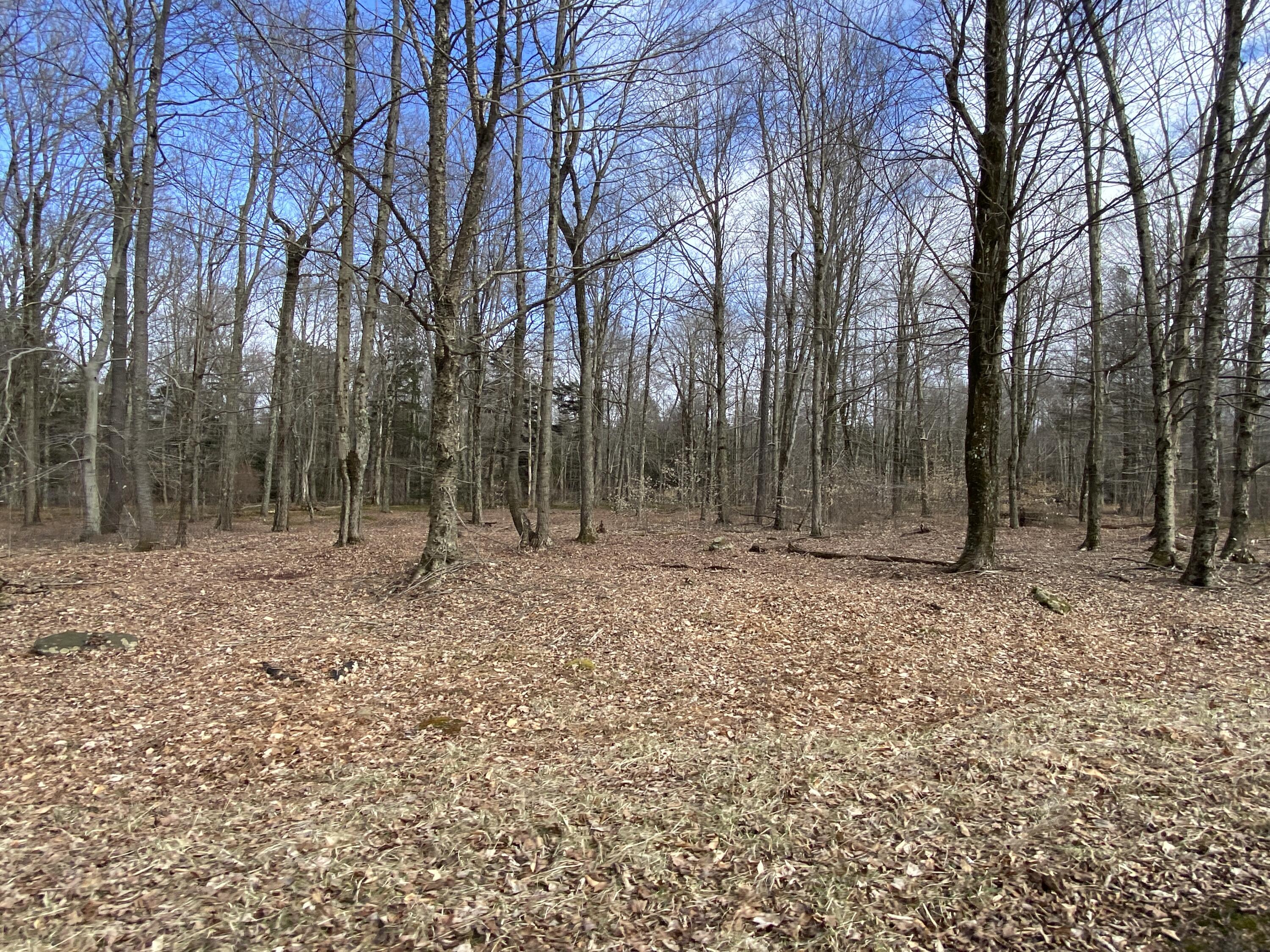 1018 W Wadi Road, Pocono Lake, Pennsylvania image 8