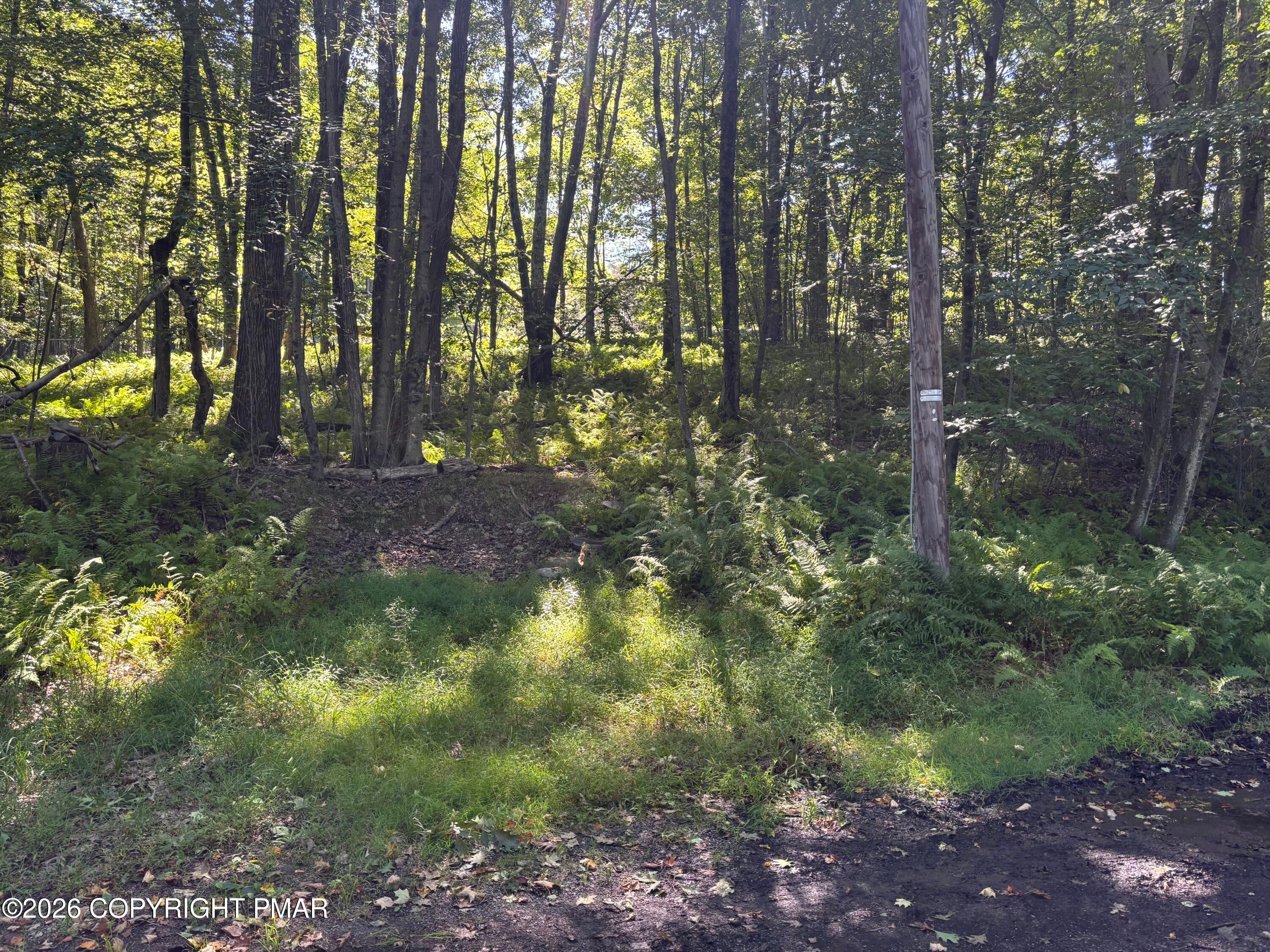 Ski Trail 32