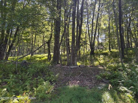 Vacant Land For Sale - Ski Trail 32<br/> Pocono Lake, PA 18347
