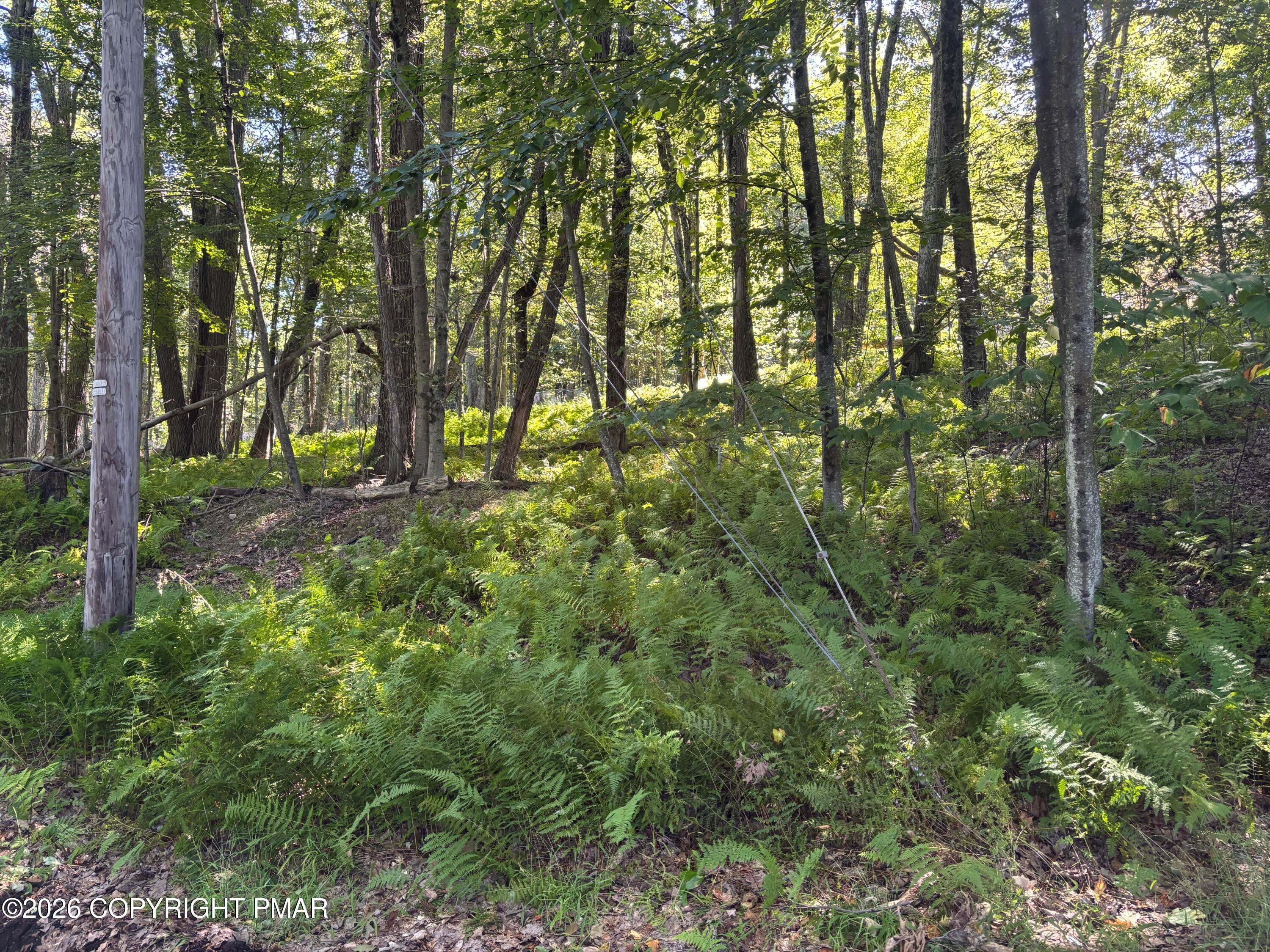 Ski Trail 32