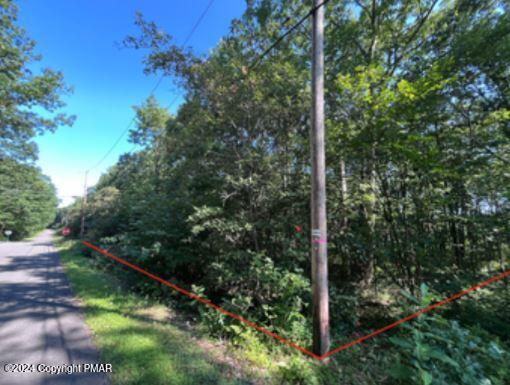 Pin Oak #518, Jim Thorpe, Pennsylvania image 4