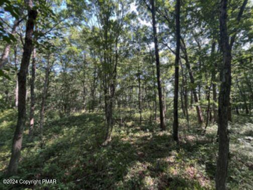 Pin Oak #518, Jim Thorpe, Pennsylvania image 6